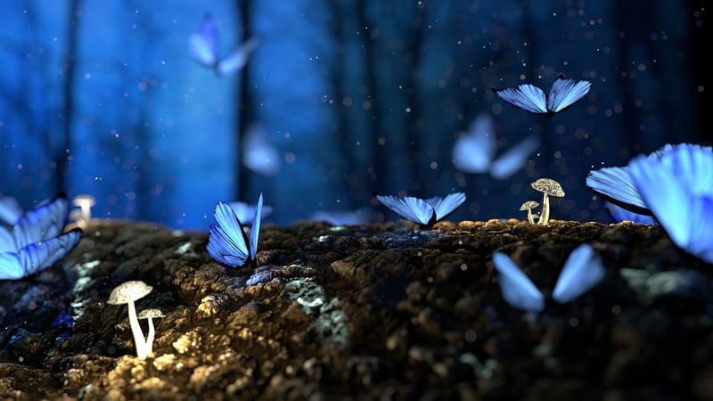 Enchanted Parties
